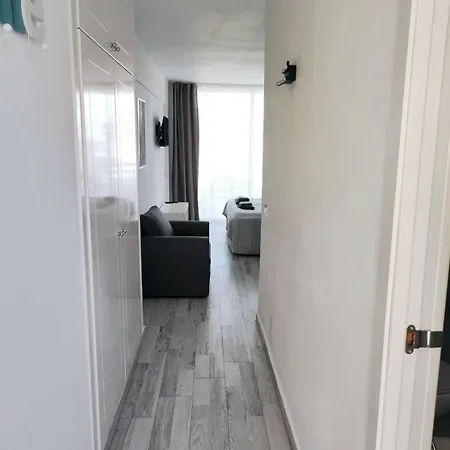 Modern Ponderosa, Americas Apartment
